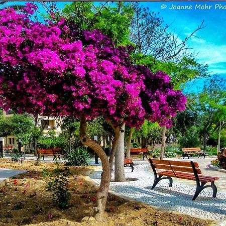 Appartement Penthouse Victoria