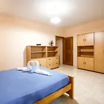 Apartman Penthouse Victoria