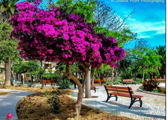 Apartament Penthouse Victoria